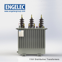11kV Hermetical Oil Immersed Distribution Transformer