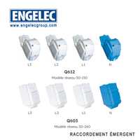 Module REMIC réseau