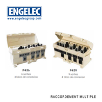 Boitier multipolaire de branchement