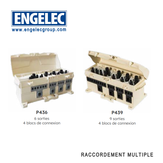 Boitier multipolaire de branchement