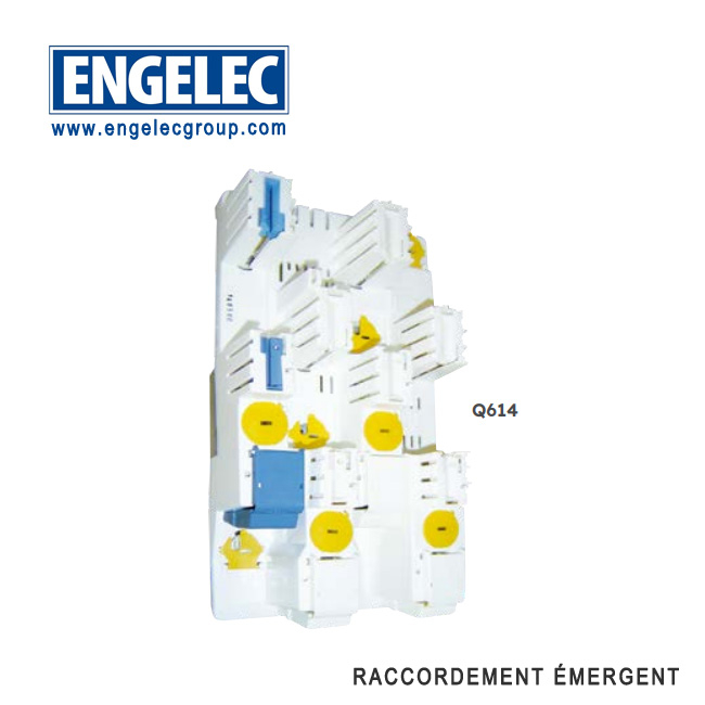 Module REMIC de coupure et protection RRCP