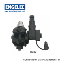 Connecteur de branchement à serrage indépendant
