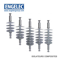 ISOLATEURS COMPOSITES ISOLATEUR POUR HAUTE TENSION 70KN