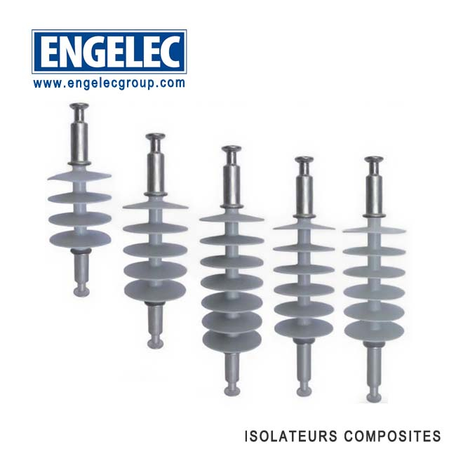 ISOLATEURS COMPOSITES ISOLATEUR POUR HAUTE TENSION 70KN