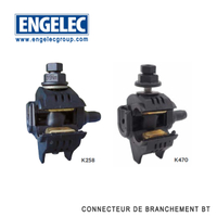 Connecteur de branchement pour conducteur nu