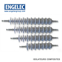 ISOLATEURS COMPOSITES ISOLATEUR POUR HAUTE TENSION 120KN