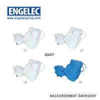 Module de repiquage