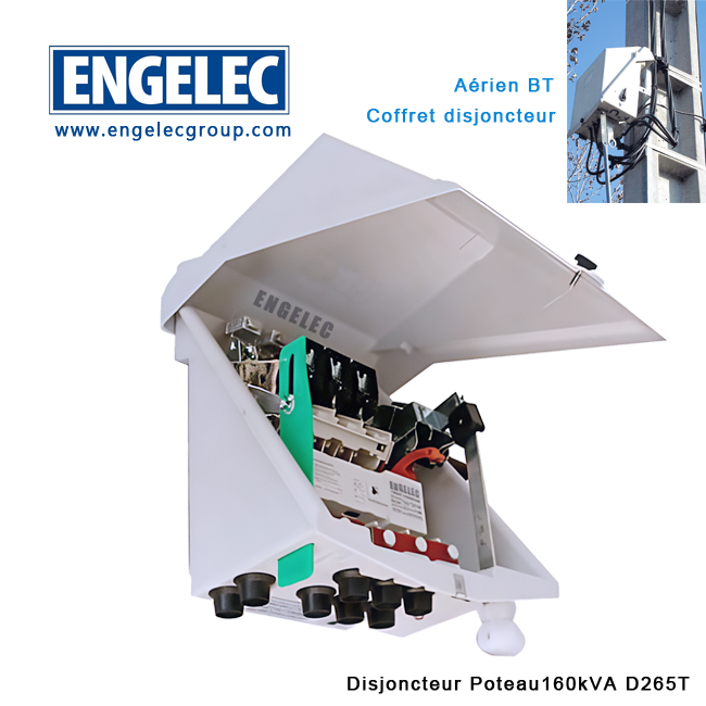 Engelec Coffret disjoncteur poteau D265T pour transformateur 160kVA -4