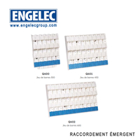 Jeu de barres REMIC