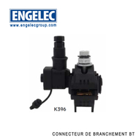 Connecteur de branchement pour conducteur nu à serrage indépendant